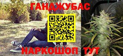 гидра Кинель