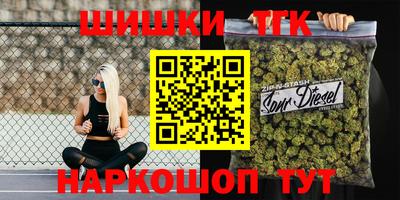 стаф Кингисепп
