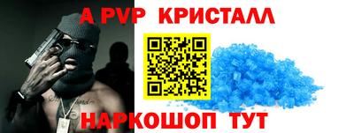 стаф Кингисепп