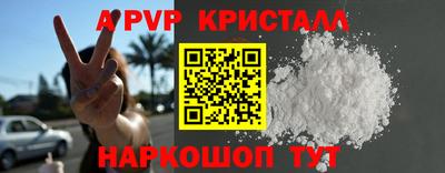 стаф Кингисепп