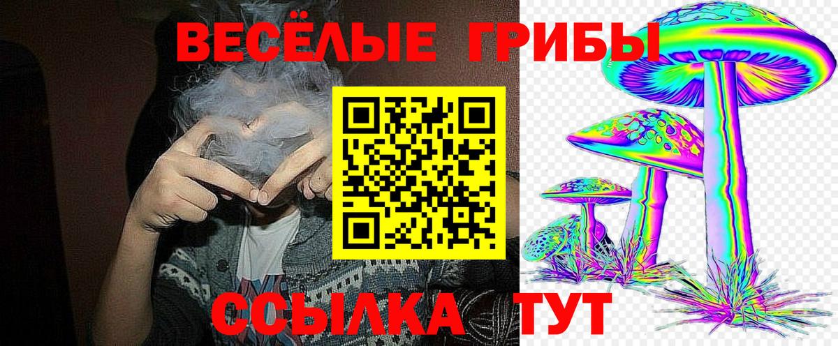Псилоцибиновые грибы ЛСД Торжок